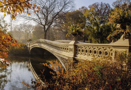 The bridge Park in new York