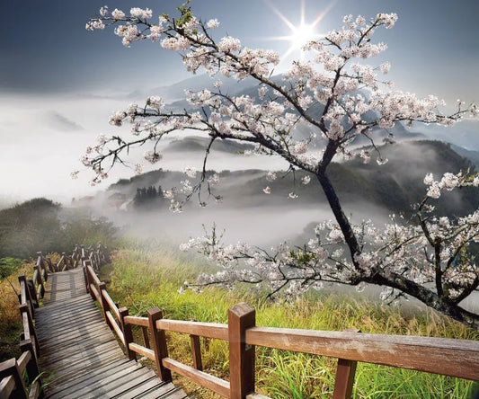 Sakura branch, stairs
