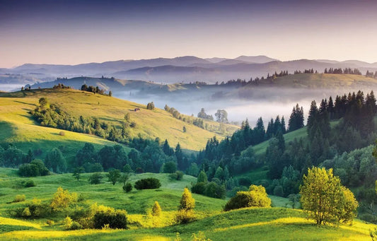 Valley, hills