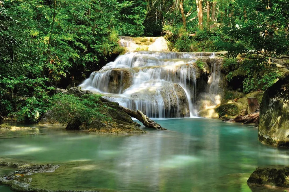 Waterfall in the forest