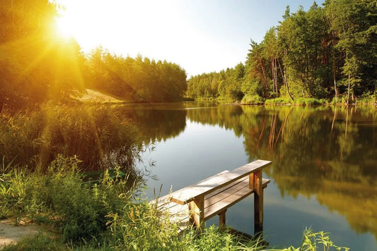 River in the forest