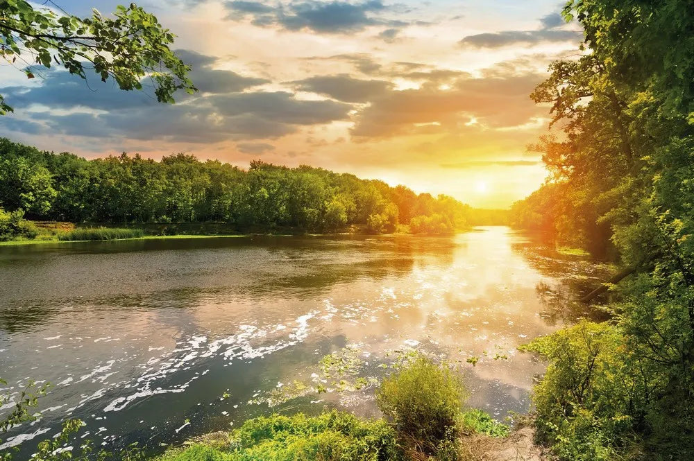 The river at dawn