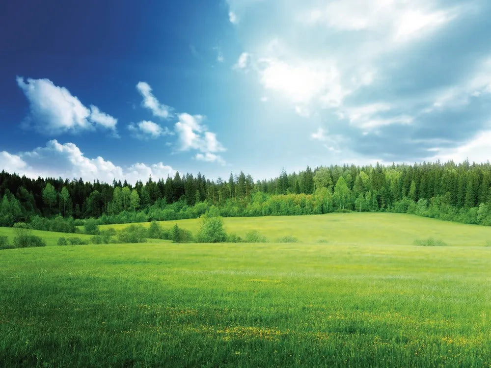 Lesnaya Polyana
