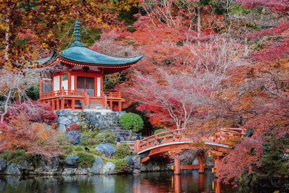 Garden in Japan