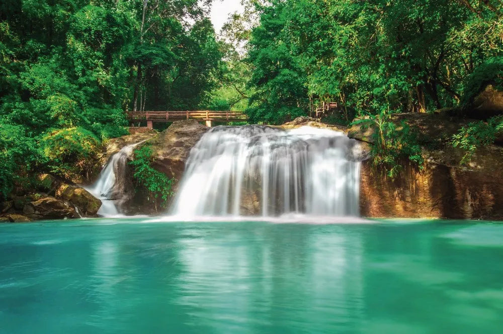 Waterfall in the forest