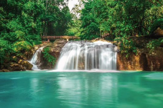 Waterfall in the forest