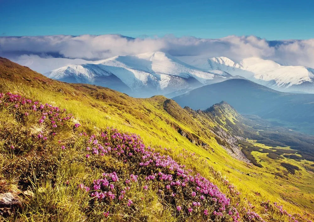 Mountains, Carpathians, Ukraine