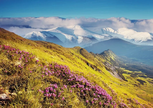 Mountains, Carpathians, Ukraine