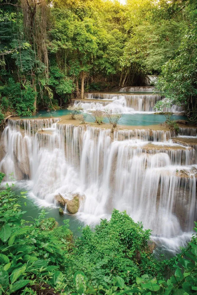 Waterfall in the forest
