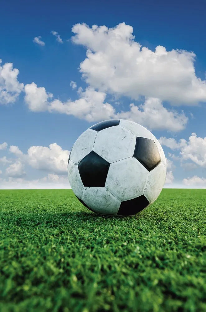 Soccer ball on the grass