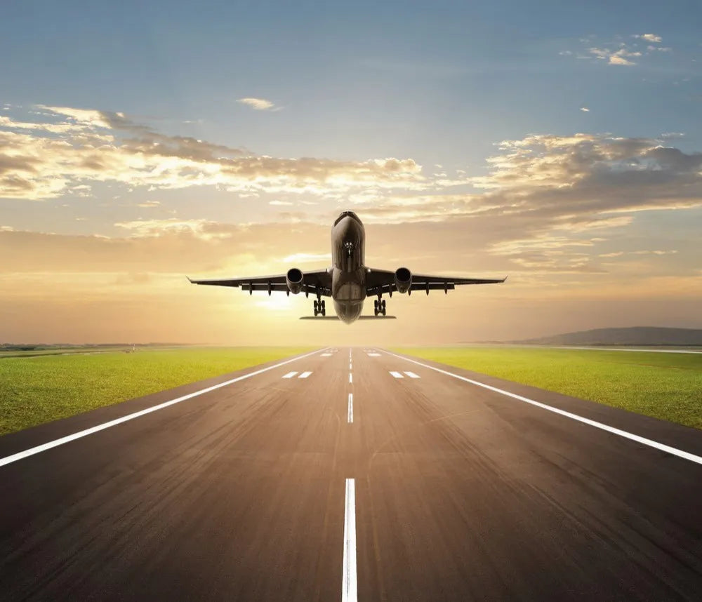 The plane takes off