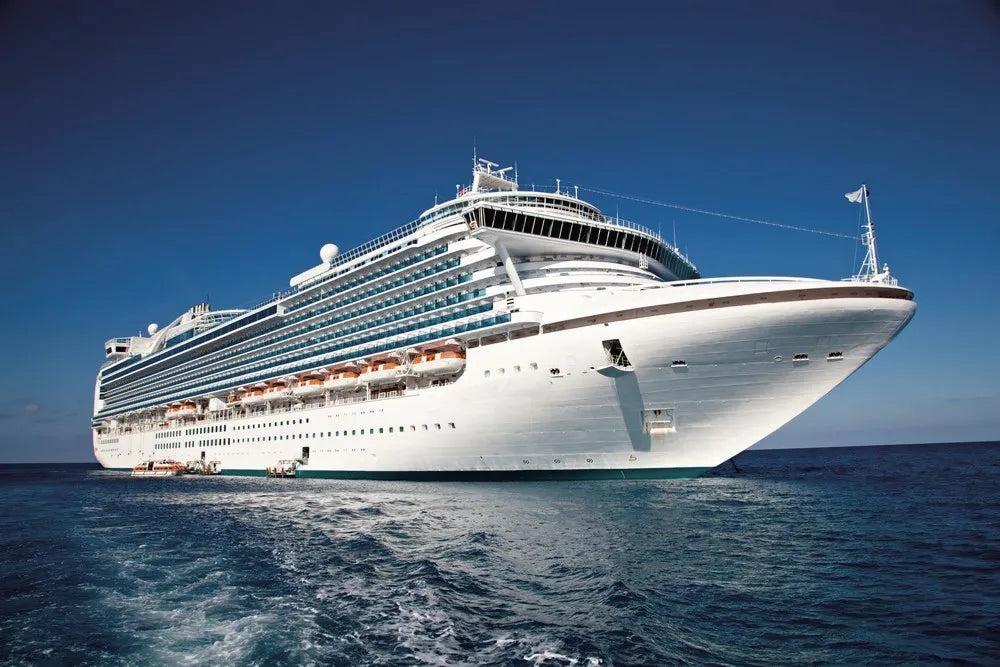 Cruise ship, liner