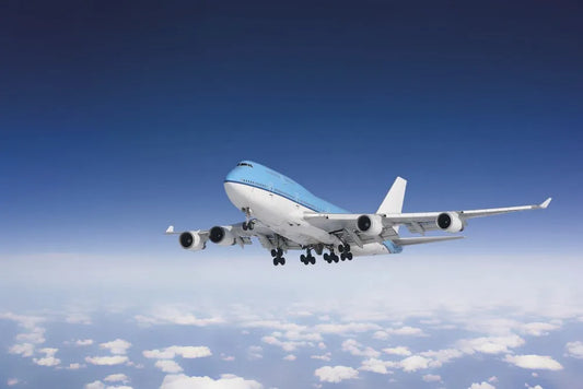 The plane in the sky