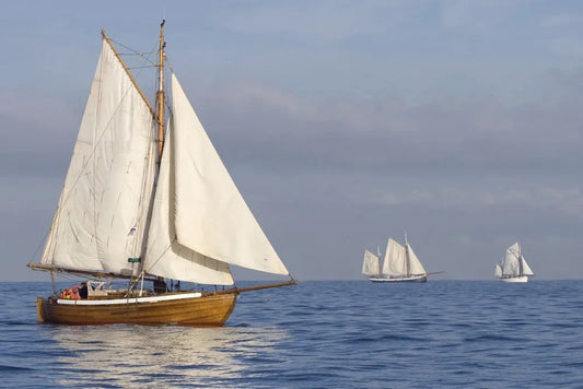 Sailboats