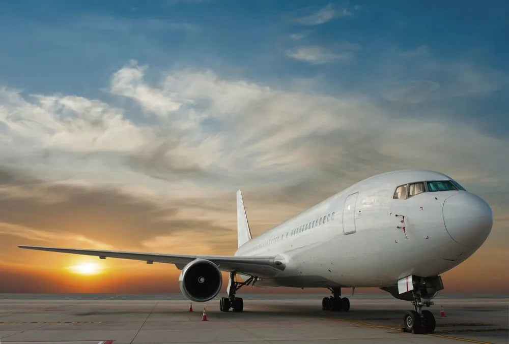 The plane