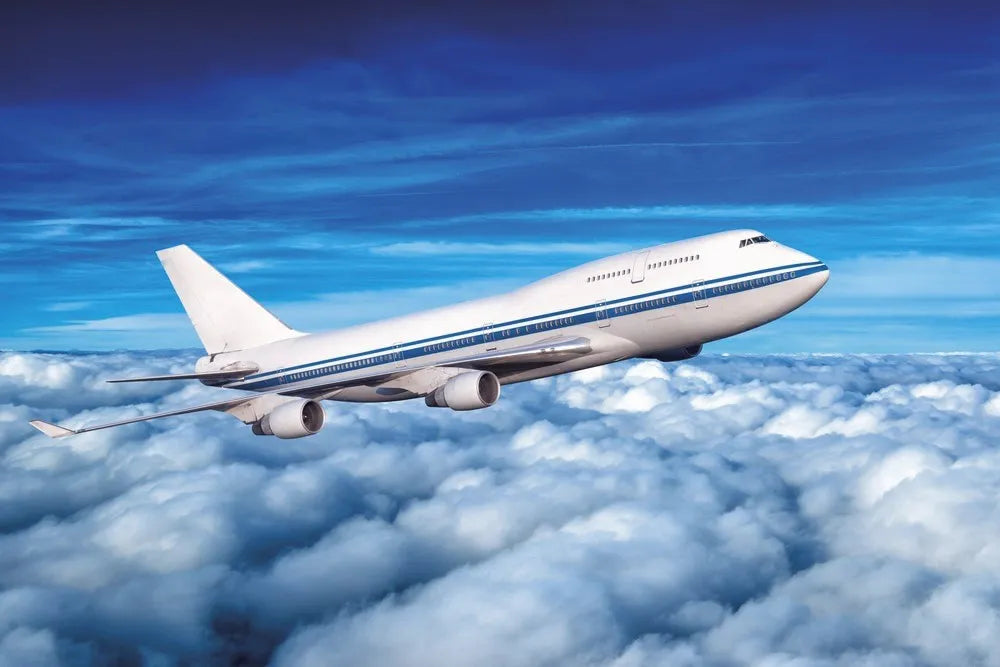 The plane
