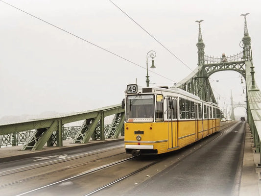 Liberty Bridge, Hungary
