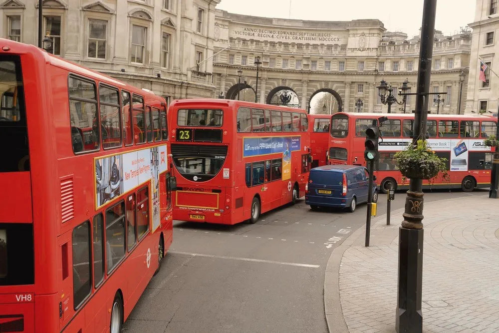 Buses