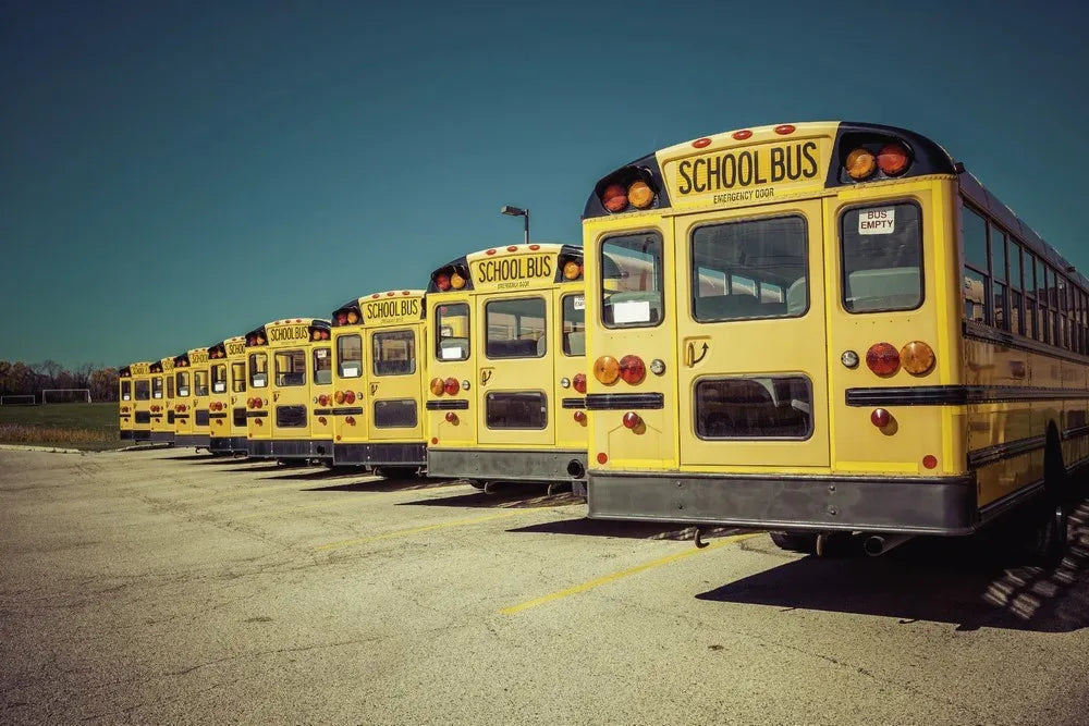 School buses