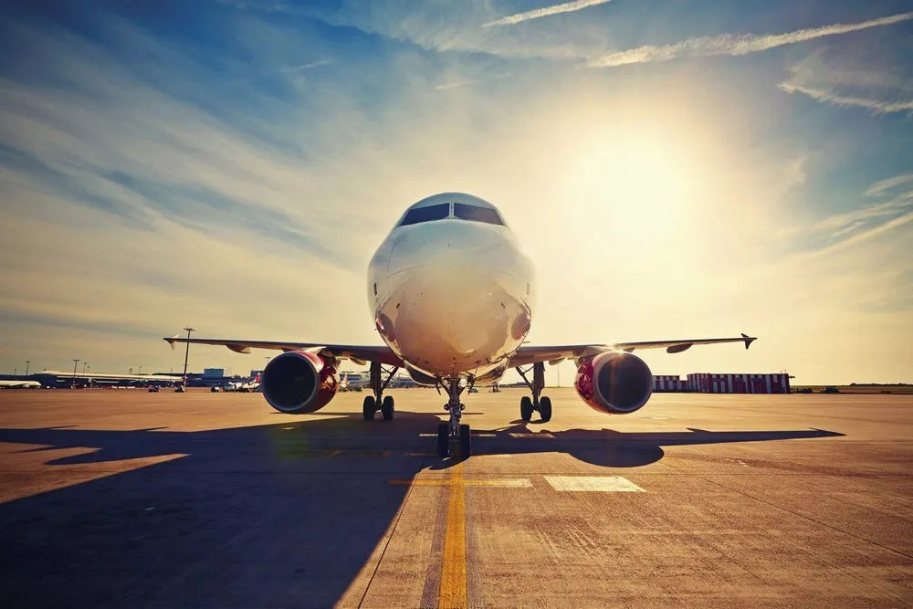 The plane