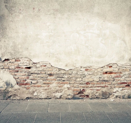 Wall, brick and plaster