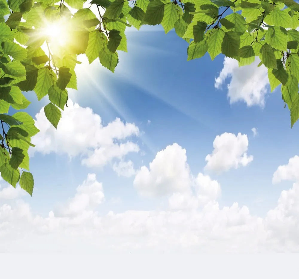 The foliage and sky