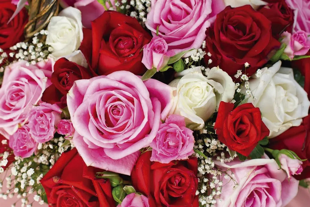 A bouquet of roses