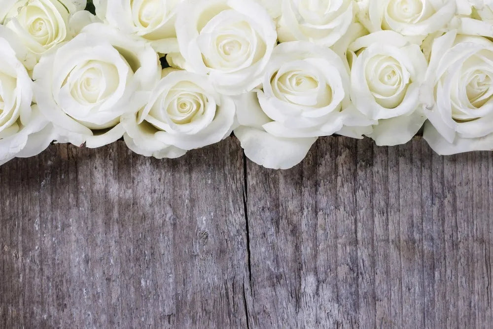 Roses white
