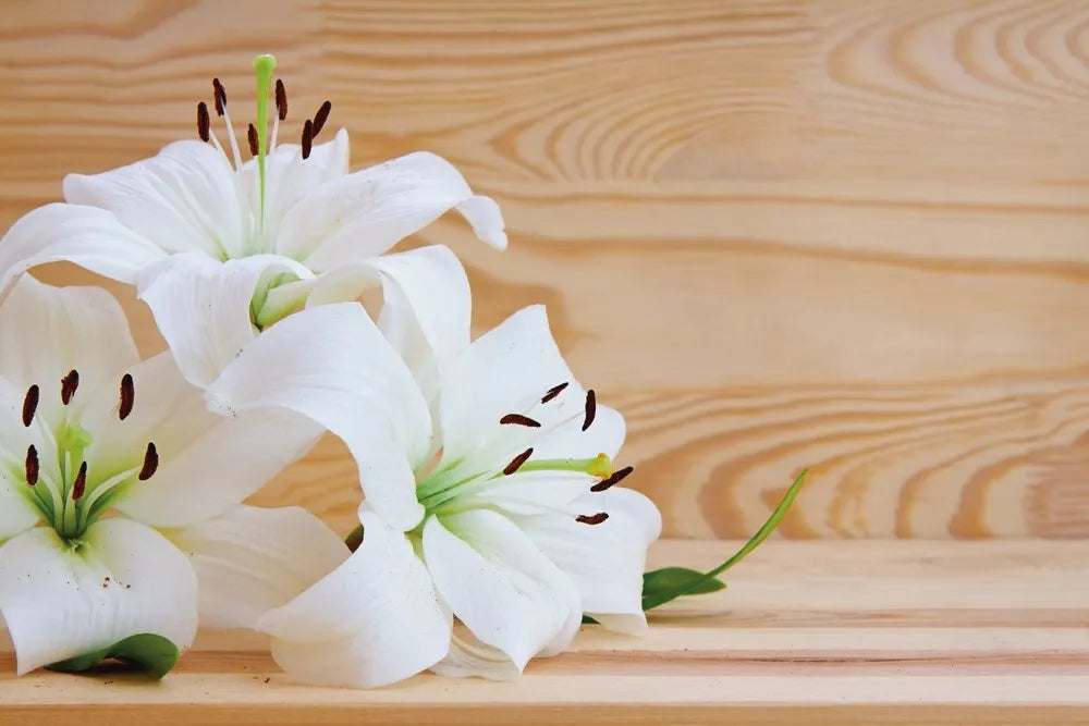 White lilies