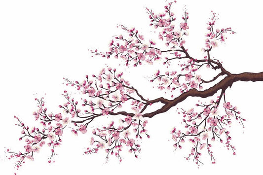 Bloom, drawing