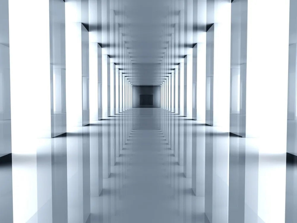 The corridor