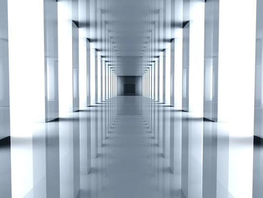 The corridor