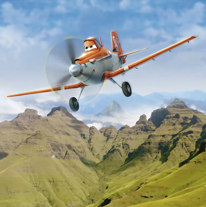 The plane