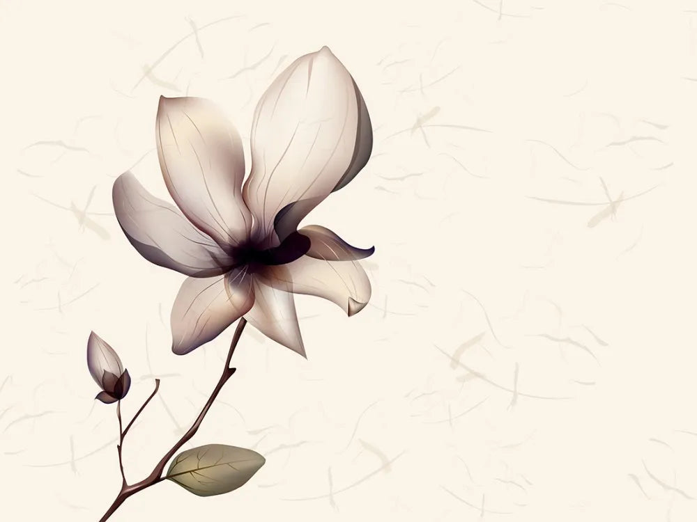 Magnolia