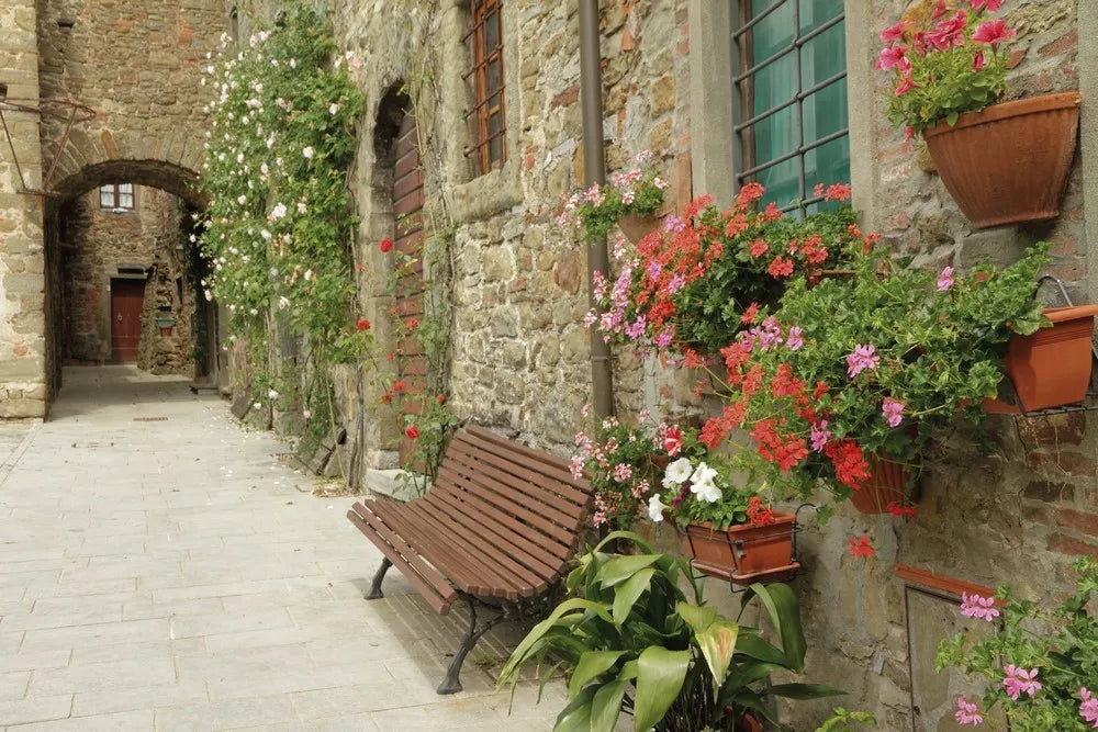 Street in Italy