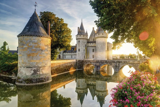 Castle of Sully-sur-Loire, France