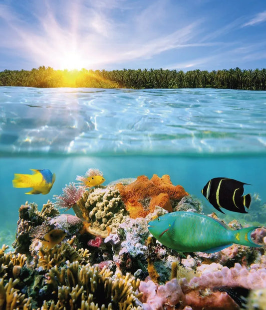 Underwater world