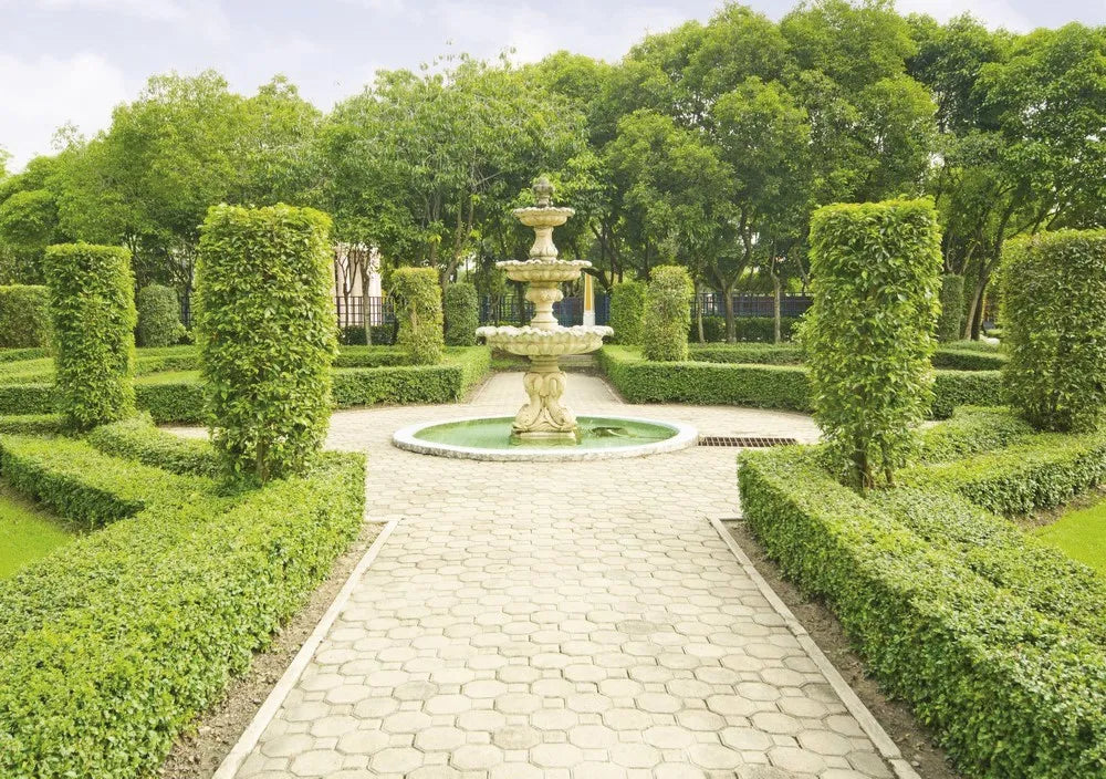 The fountain in the garden