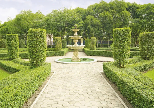 The fountain in the garden