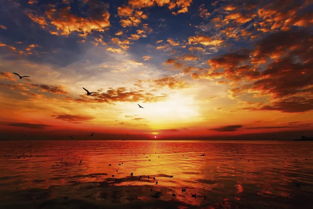 Dawn