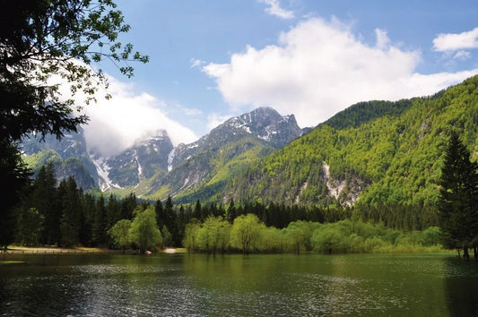 The lake