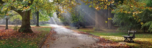 Park