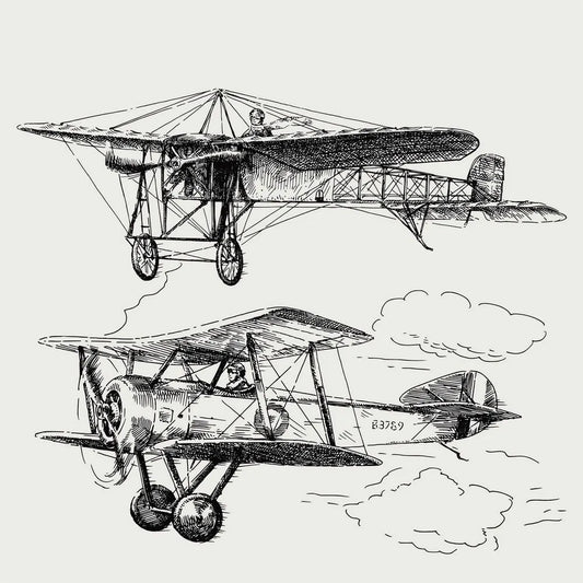 The plane