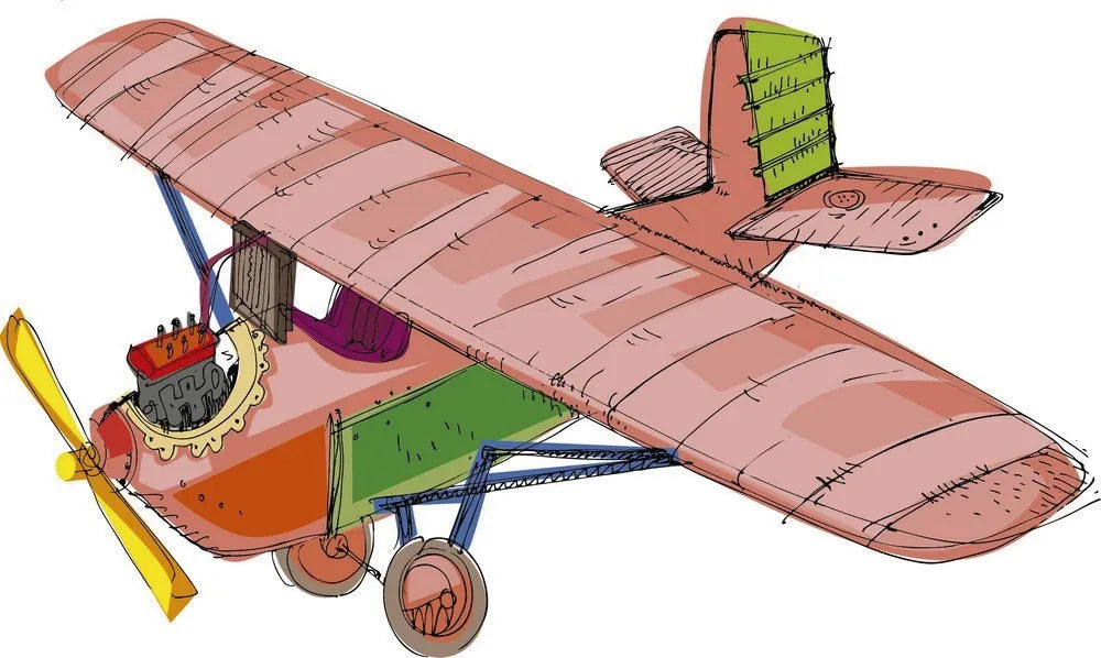 The plane