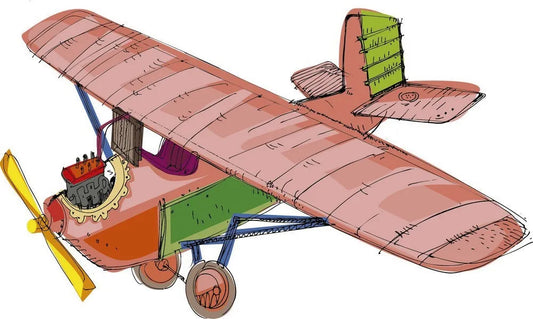 The plane