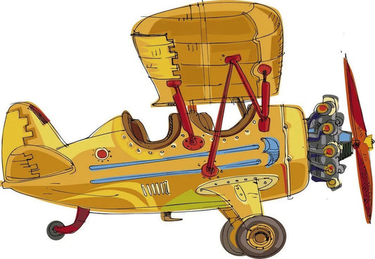 The plane