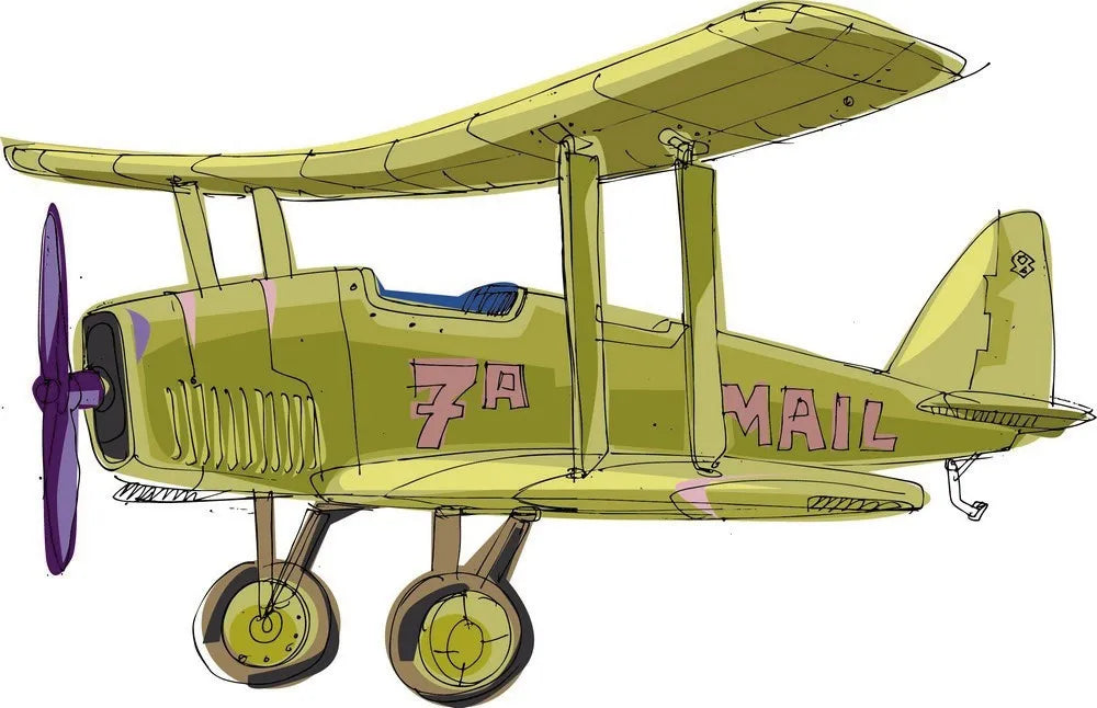 The plane