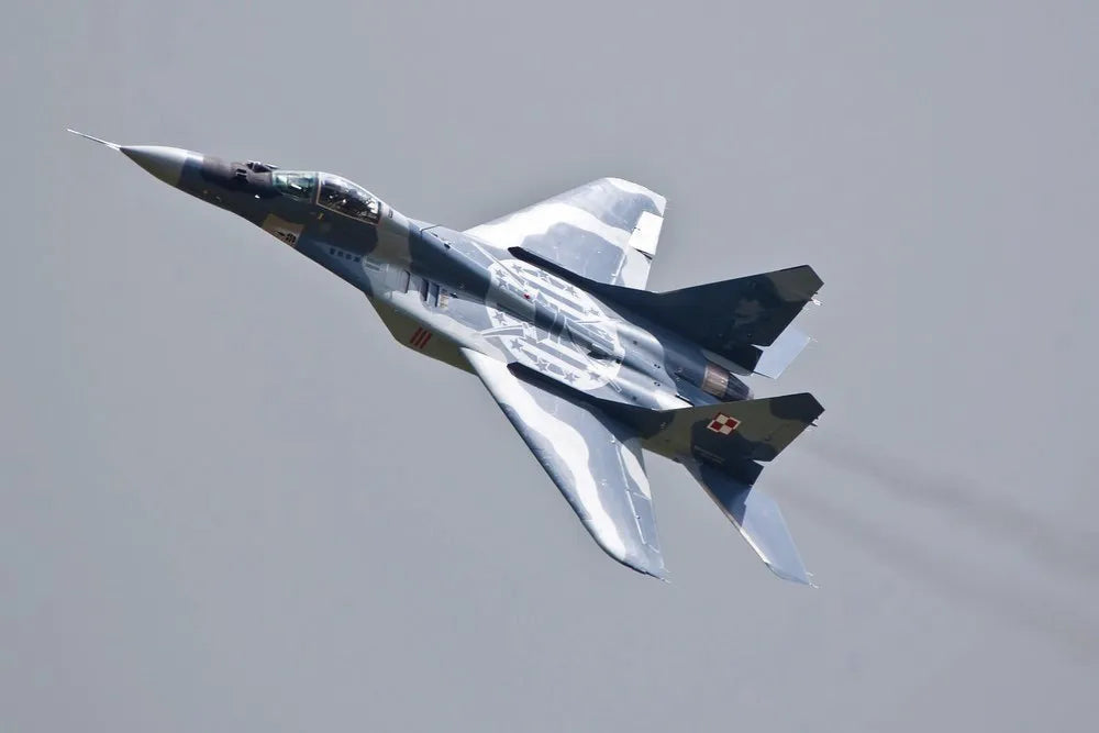 Fighter