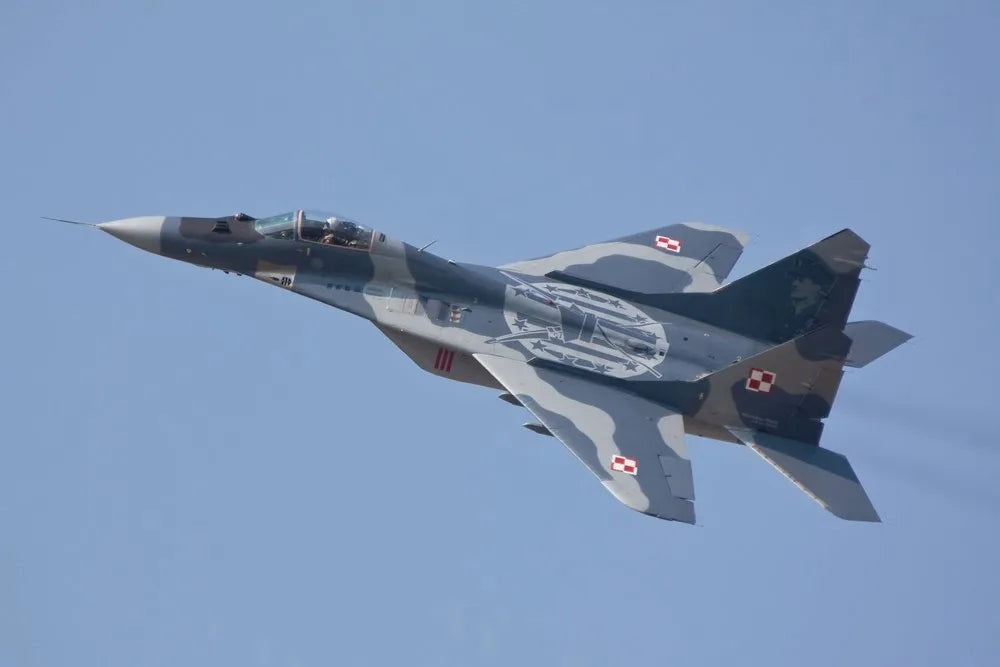 Fighter