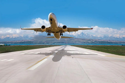 The plane